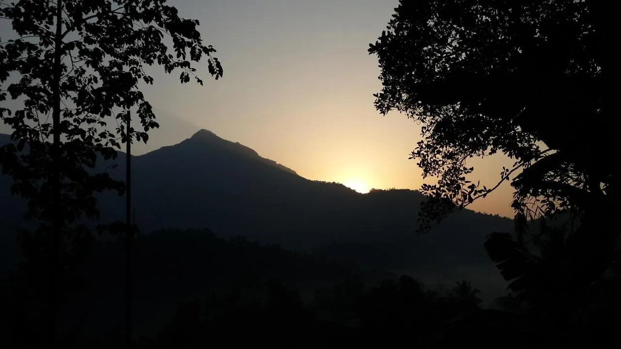 M3 Homes Munnar 0*,