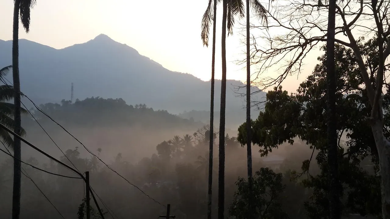 M3 Homes Munnar