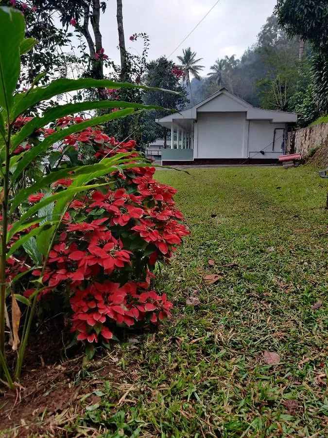 Lodge M3 Homes Munnar