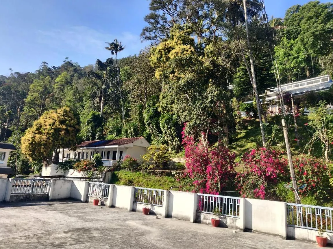 Lodge M3 Homes Munnar