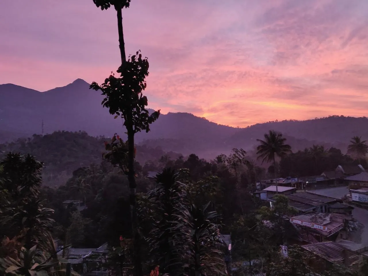 M3 Homes Munnar Lodge