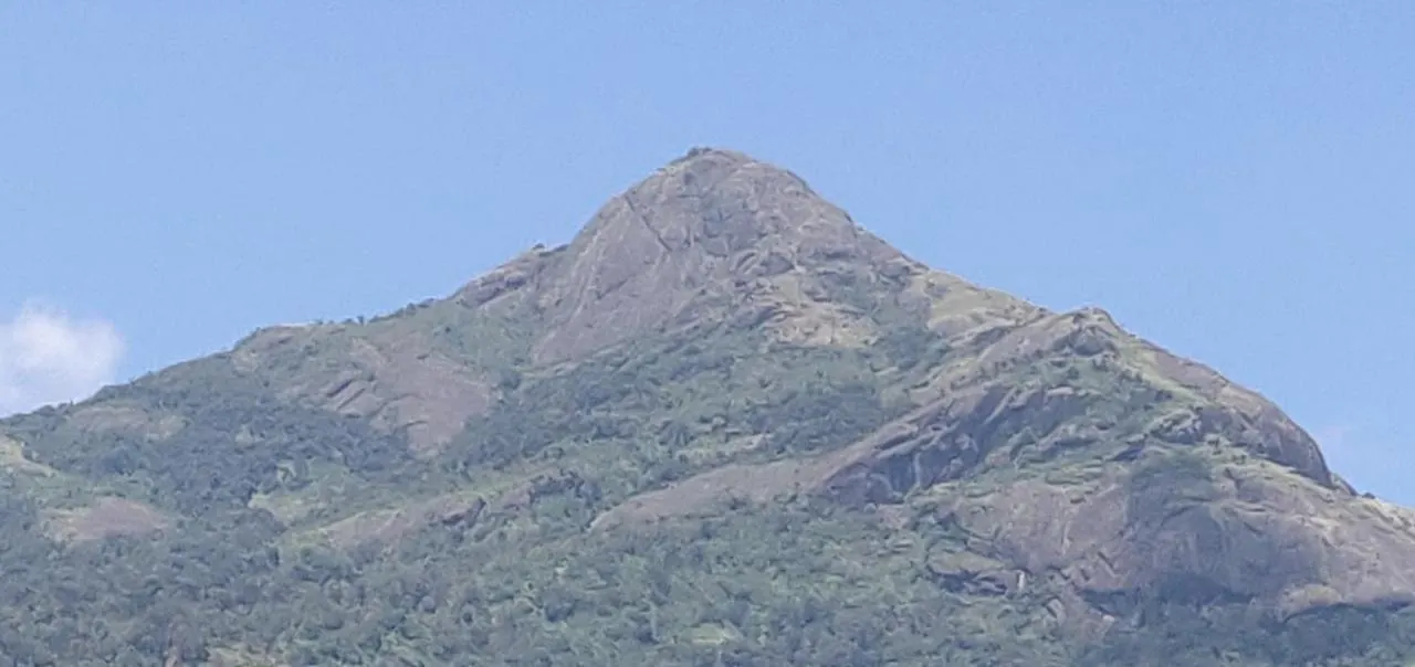 M3 Homes Munnar Lodge
